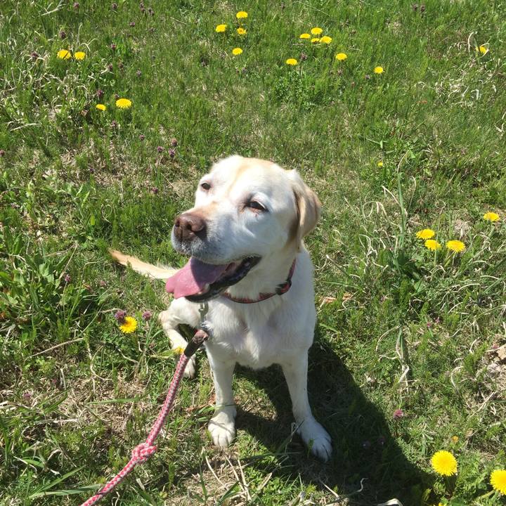 07ab2fc7 acea 4df6 8bee 882de5d41524 1640756454960