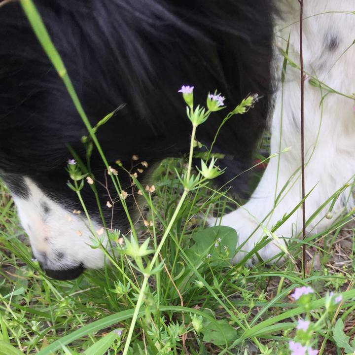 07ab526d 437d 4577 a486 5f7235dff086 1557972117939