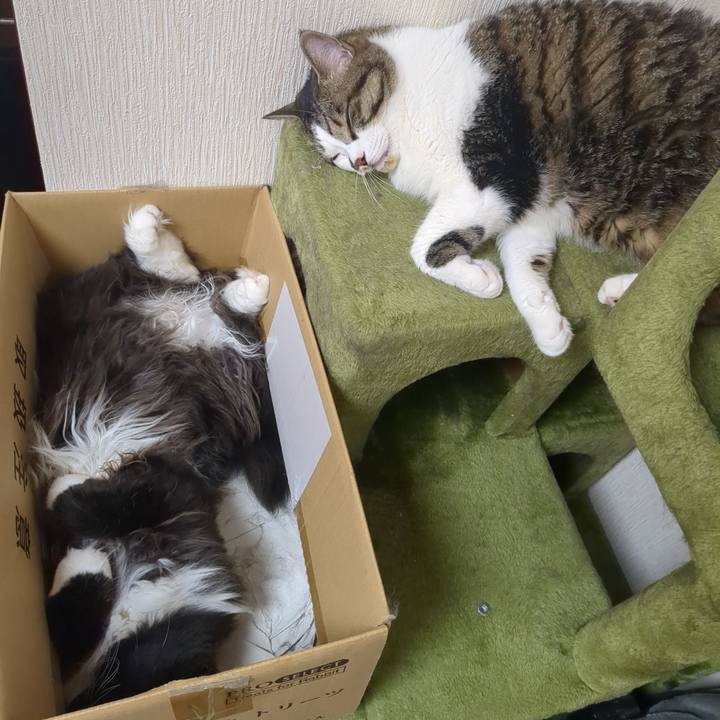 07ab6a0c adc9 4daf ae8a 0c87c098e56d 1751941678394