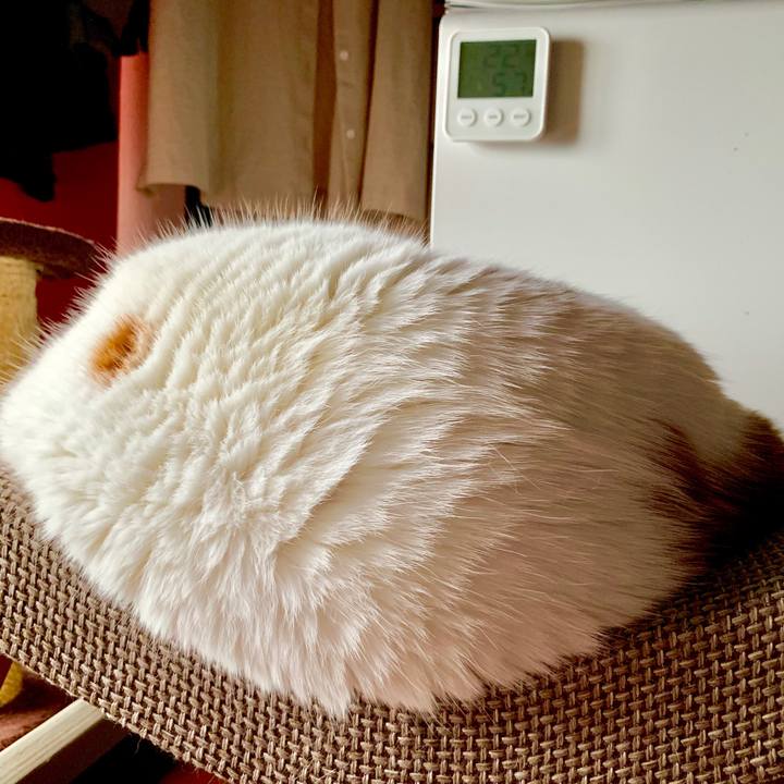 07ab7411 62bc 4d04 bb23 0e70e294a108 1566682080073