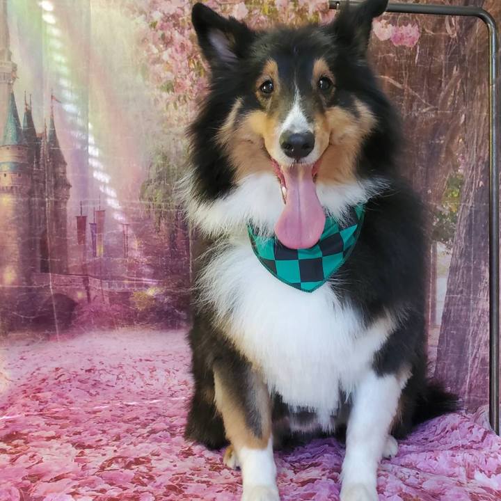 07ab7d24 c1ec 41af a036 f737d68c34eb 1615071403227