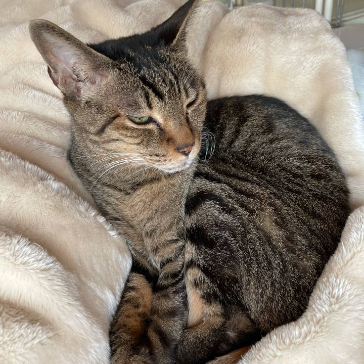 07abbefa 9b4d 40dd a61d cfe9c1e13cc0 1607997314721