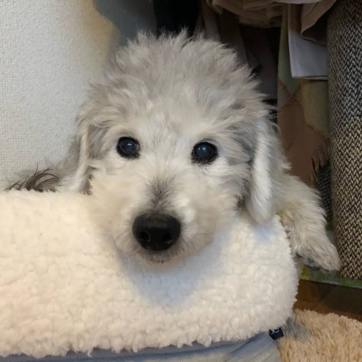 07abc7fc 2cad 4cb3 af36 585dc0d20e25 1579761561543