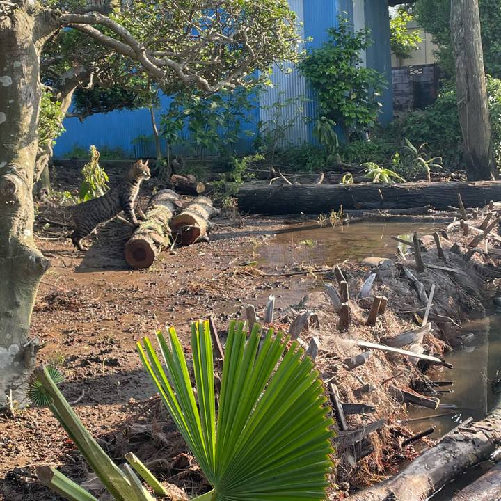 07abcb45 f468 4321 b516 aba354f0fc96 1685779200836