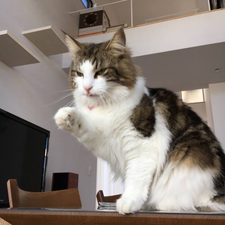 07abe7a4 068e 441b a604 d162e967b4e3 1518357396057