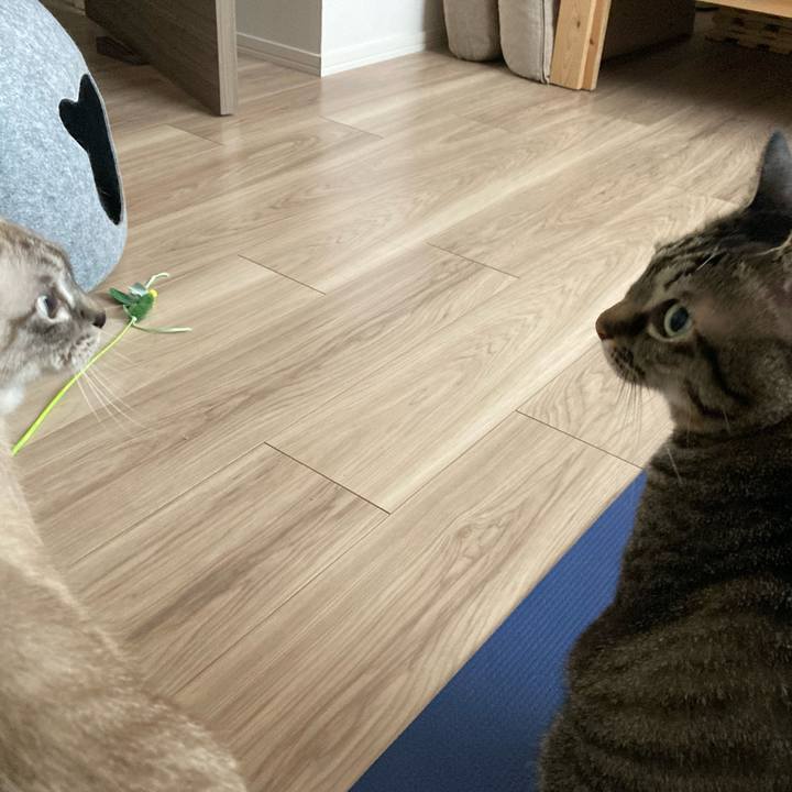 07ac1a68 22c1 4714 a810 da8c5291e757 1666408968774