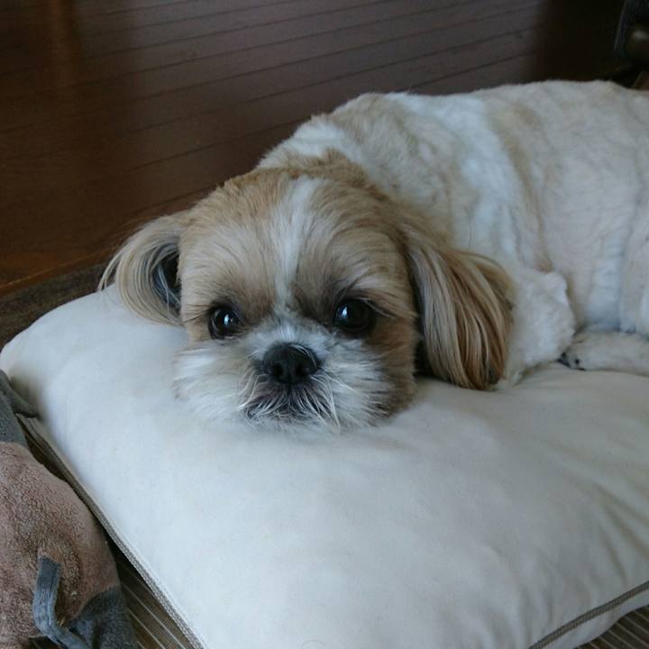 07ac2c54 0ccd 4727 b2f7 01c5c9c9414d 1558588379046