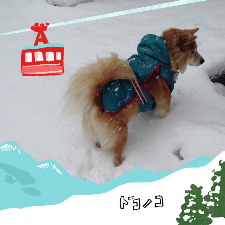 07ac46c5 8adb 41b1 afe9 3bbd459e06cf 1706789978789