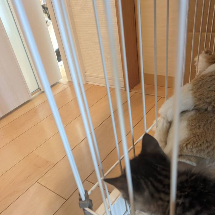 07ac5342 750b 4a61 9250 f4da3bb82c29 1697958369439