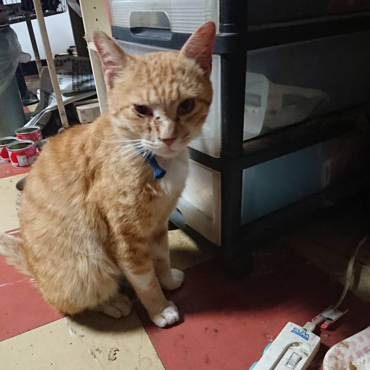 07ac6c97 85fe 4fe1 8c9a 9cadebe5b7f5 1558383644857