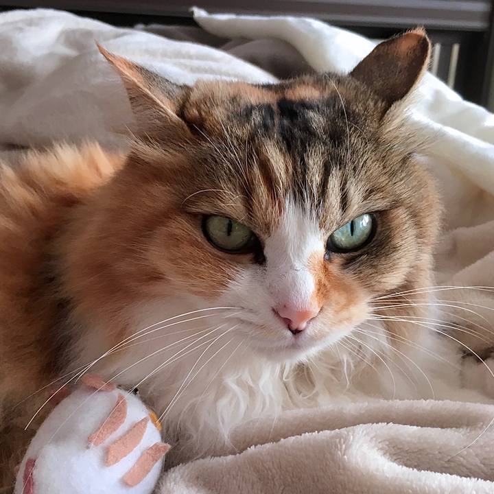 07ac7af7 766a 4201 89e2 ac29909fae90 1617003142307