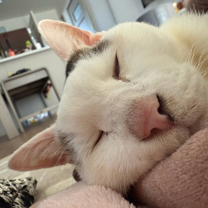 07acc162 aa75 4674 8155 e8370e6e260a 1765859432169