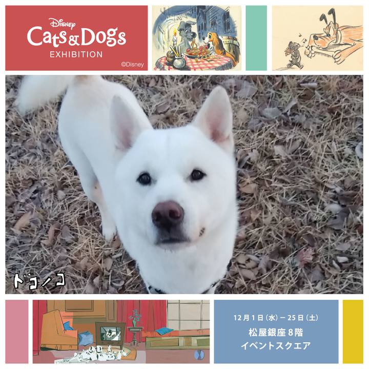 07acd024 09ee 4e6f 9c78 d691b8aa56bf 1638351494191