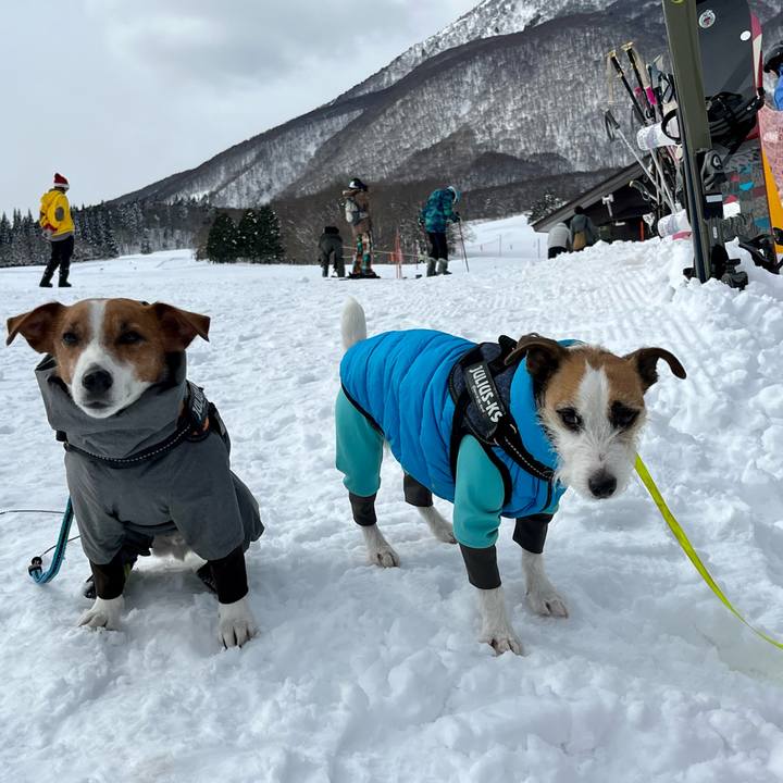 07acd5db ebb0 425c bf32 bf66953b84ef 1677142366614