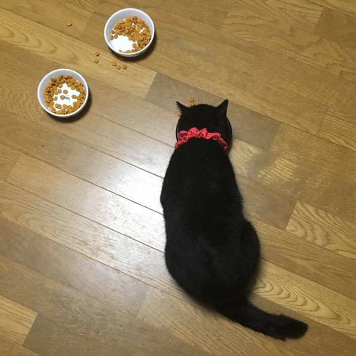 07acdd8c 8e6f 49ab a34e 8acf7b335549 1536753402030