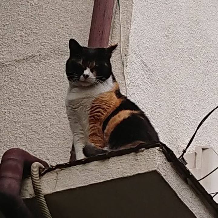 07ad7d22 1172 4d5b b255 c1e546dca0c1 1620775741737