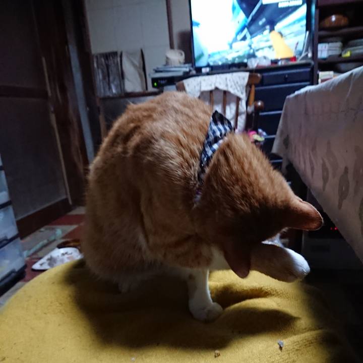 07ad82f5 1935 4898 b990 4ca11e6bf3b9 1571000773306