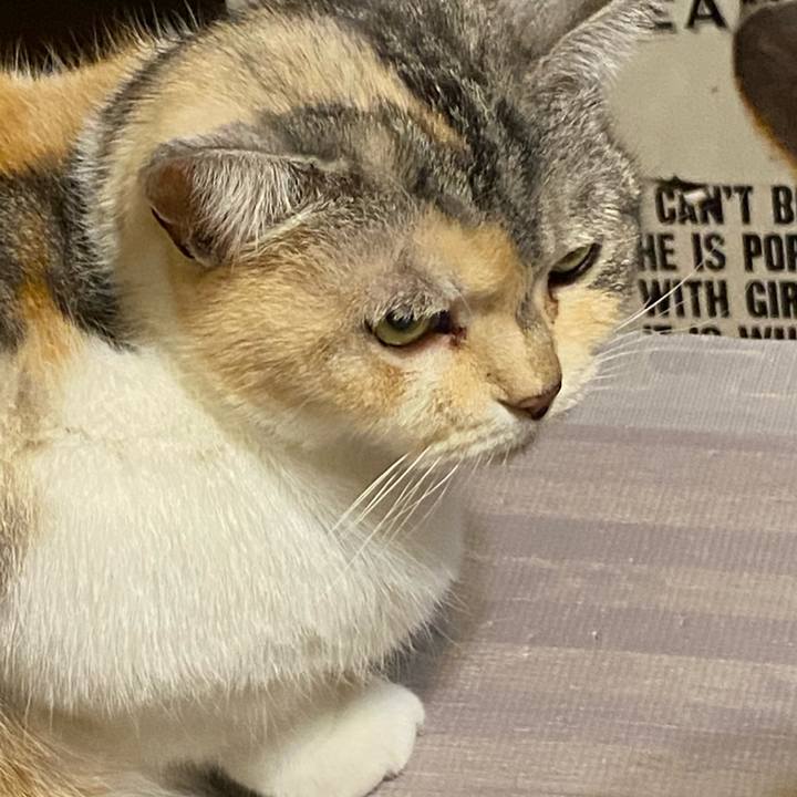 07ad9cf1 bcba 4de3 8c5d 83f4d45c4947 1617974011524