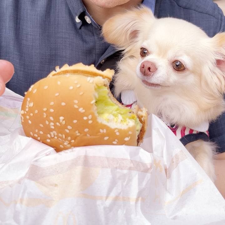 07adb328 3496 42ba 8a5f 9f59e4b5a407 1749992792674