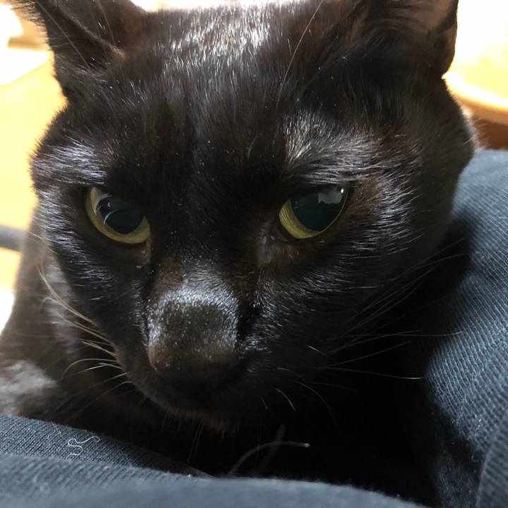 07adde9c 4f2c 48b1 8bd1 49756ac3a943 1736072200511