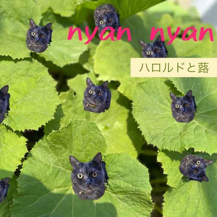 07ae0a12 282c 4f5c 9359 ed0cc21f9c4a 1682766488988
