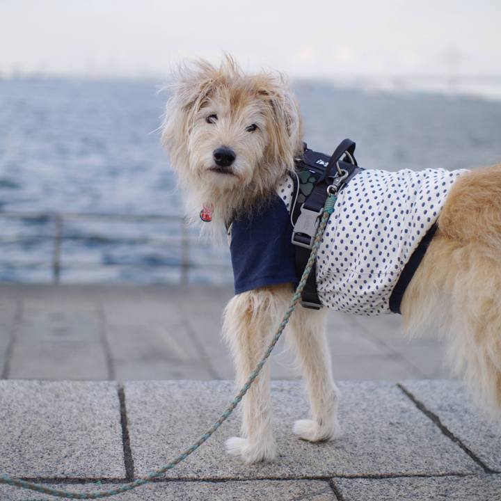 07ae126f 9cf0 4809 b2d0 81b2fa84464e 1638436835520