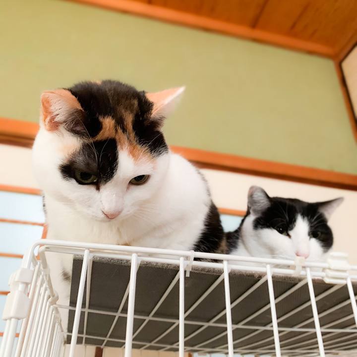 07ae3b84 222d 4331 a0e1 bca4170b3f1b 1578101404781