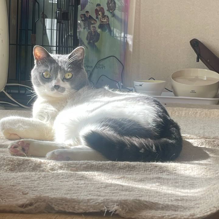 07ae44a4 baec 49e6 8bef c380c5a1ba9f 1707796656167