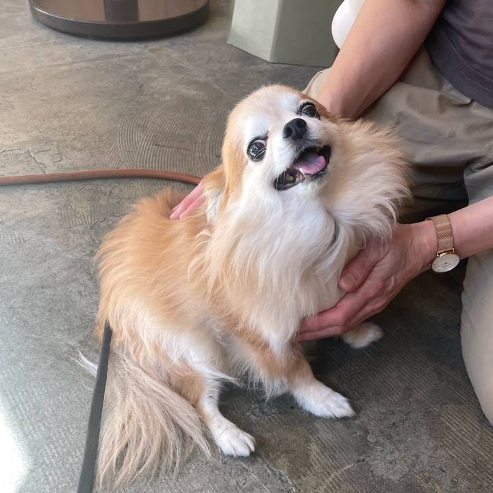 07ae482b 11ec 47ad ace7 4925f08eb766 1760675689981