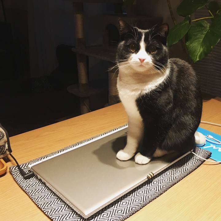 07ae6a76 e650 4781 8c8f dbbdfdf0a970 1547849963182