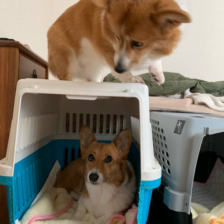 07ae9e57 fad0 4d66 8bd5 4746ad1f5e72 1578976618352