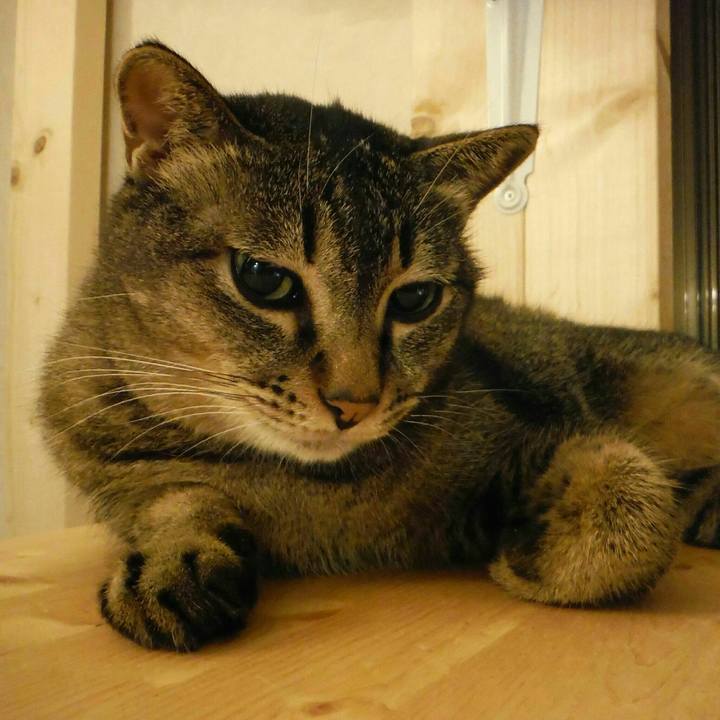 07aeb850 d221 4c7d 85d8 bfc7119626ea 1537492262857