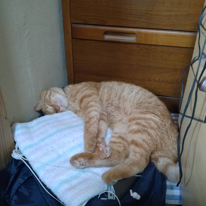 07aefe8a 576e 44df b431 11228aa0b83f 1694831217894