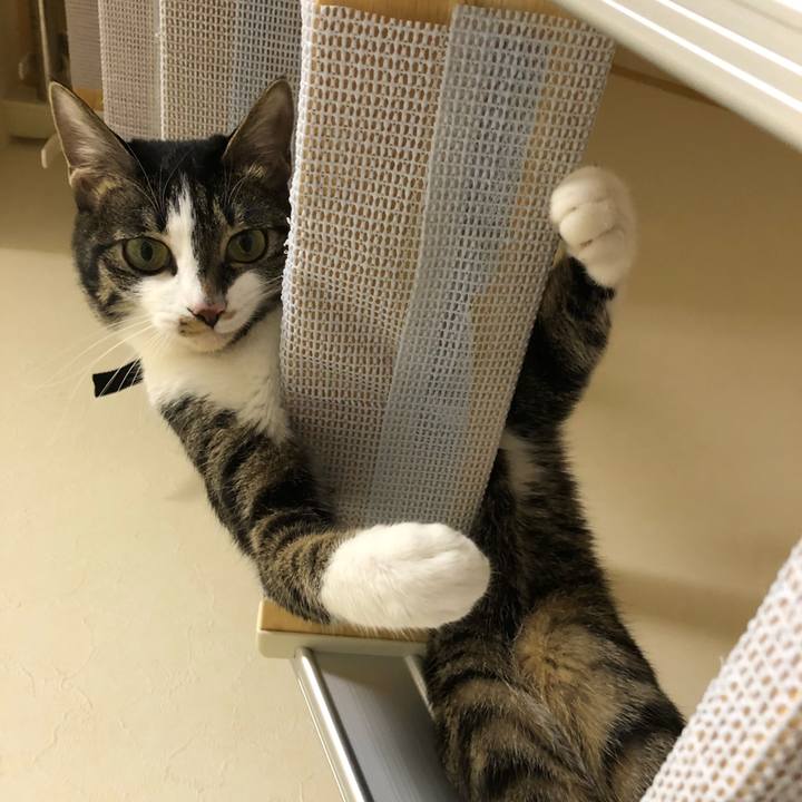 07af288a 387f 4f9c be37 a2fe6664d347 1518636253872