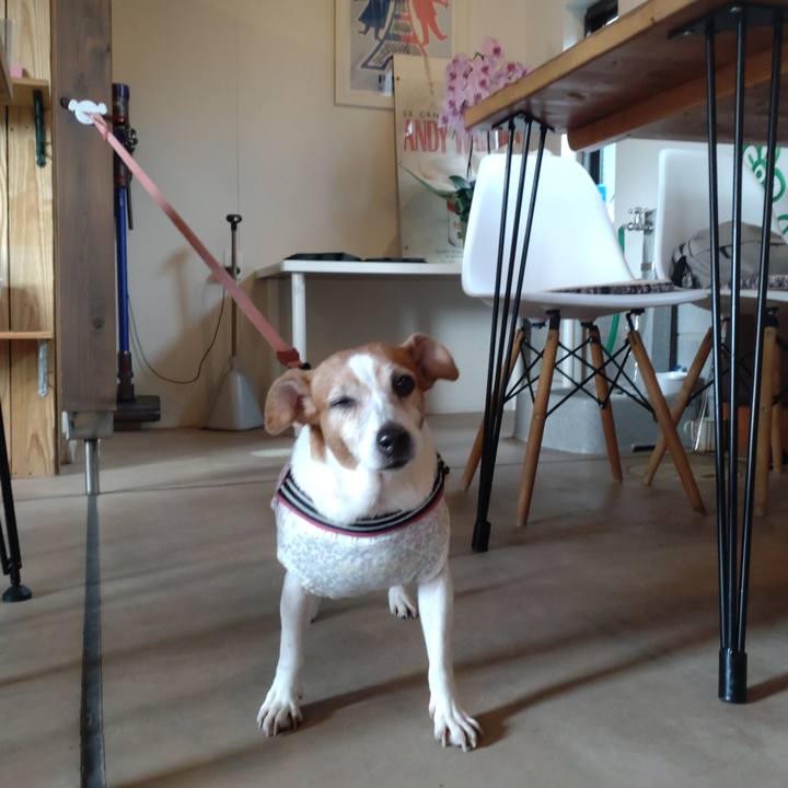 07af74c1 82b4 4b03 bec1 1cf4299e16c0 1761967152234