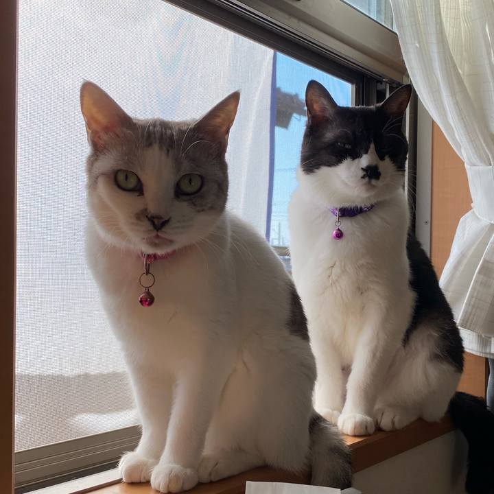 07af7856 39bc 43c7 ae7e d3f7b138157b 1637196663729