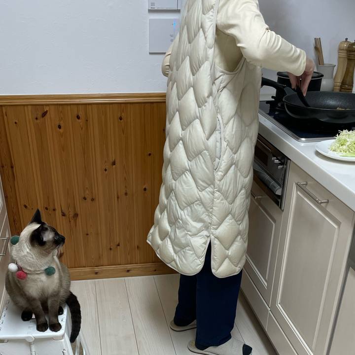 07afbd12 9e5f 493f 961c 0903ed310791 1732134566723