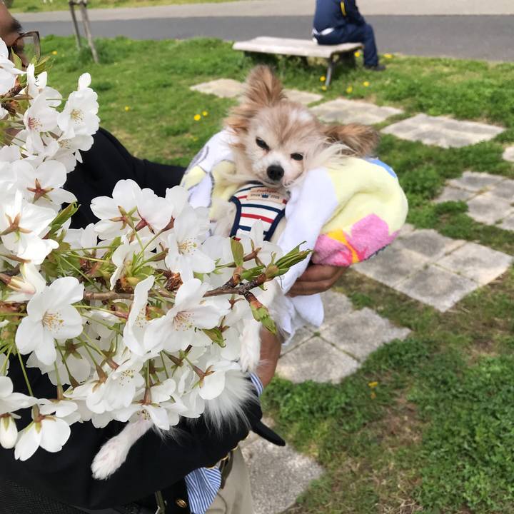 07aff24a 7315 499b a2ab 9b6b857341be 1522039178130