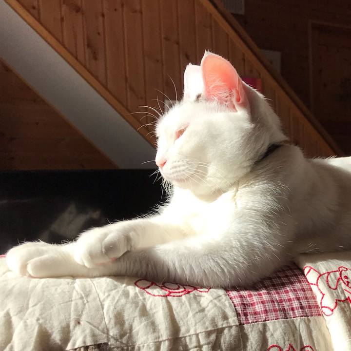 07b03db7 9a5e 4834 aa20 8e97597f9470 1583532796377