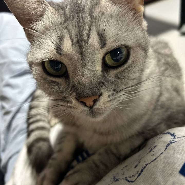 07b0740f b2ba 4bfe b560 c0f91250aa63 1755425537363