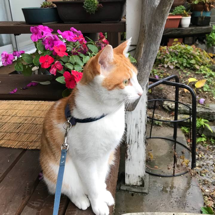 07b07968 1b01 4a23 98fb 94feab839238 1508646369124