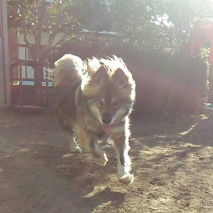 07b09f53 dc5f 4885 84ff 29173b362b69 1517999978349