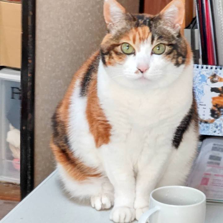 07b0a3f9 10f5 44f6 a6c7 e40e4ca5cc58 1616580869812