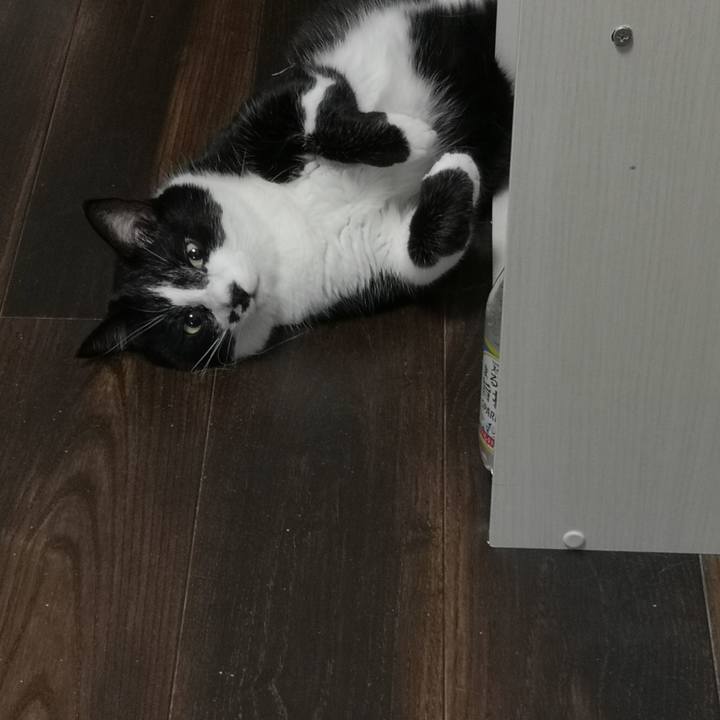 07b0a4ed f0c5 458d 8877 f7dc74d5bd5f 1593805203697