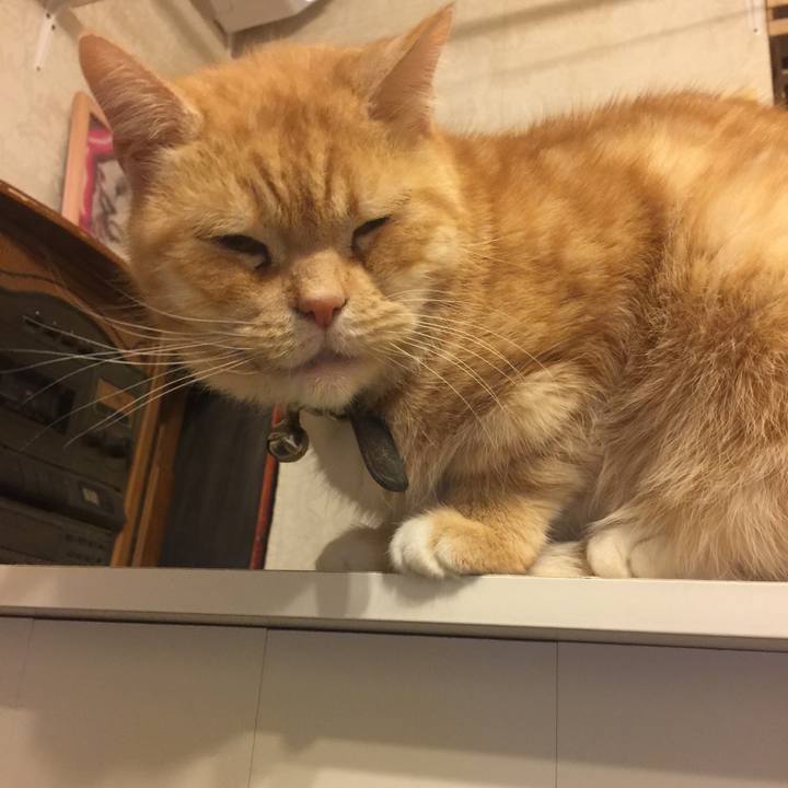 07b0cd6a ea87 430e a19e 7dc88b52d2a9 1554986691707