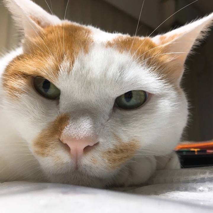 07b0ddbb 2c70 4a05 aea0 30753bdaa5eb 1512390286181