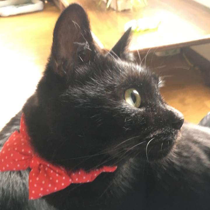 07b10a25 7cd9 47d2 b5aa b888607d1d3c 1537660787922