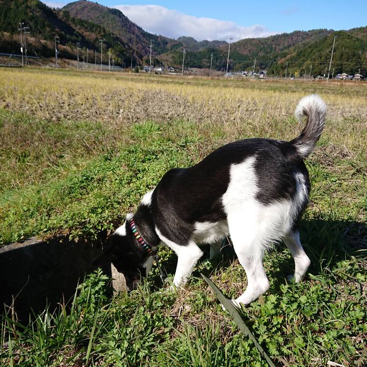 07b14ac4 a3a2 43c0 b5f6 f260d238cf38 1606626908711