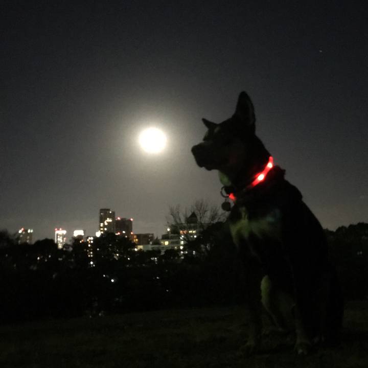 07b1b4c7 7cd3 4534 9e97 48a6e2230ab3 1514912657134