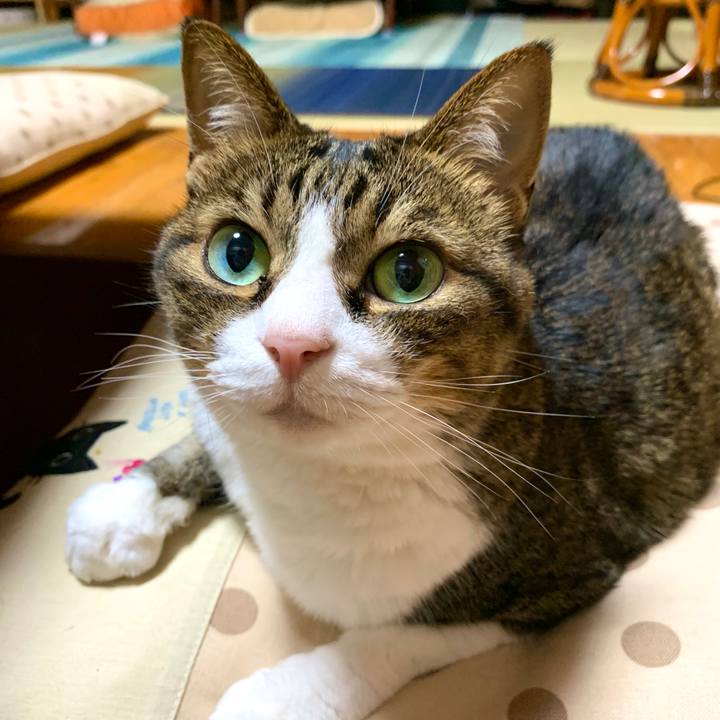 07b1bec7 3371 44df 9463 62c9be0fc29b 1593431059510